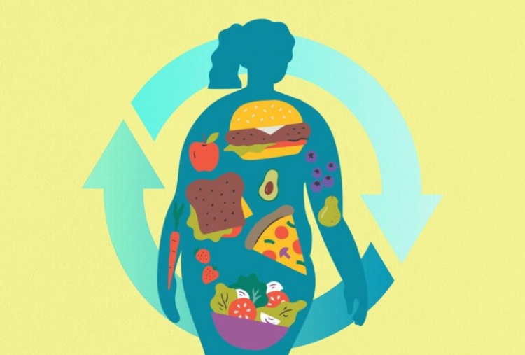 Metabolizma Nedir ve Nasıl Çalışır?